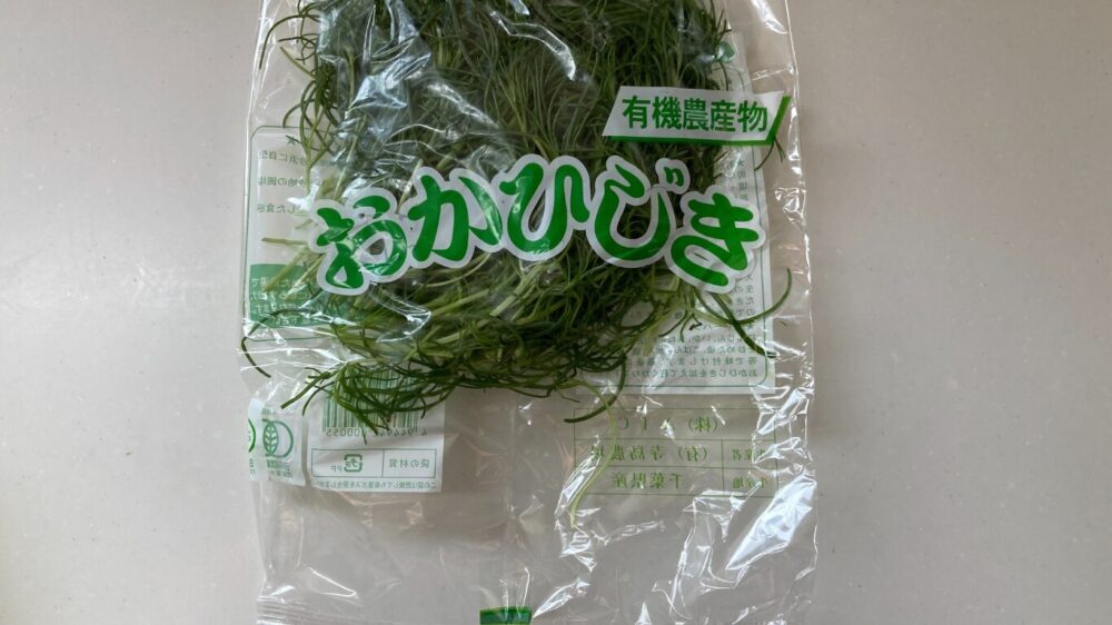 千葉県寺島農場のおかひじき（80g）大地を守る会お試しセットより