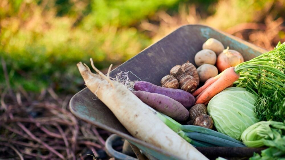 味噌汁レシピ野菜具材画像