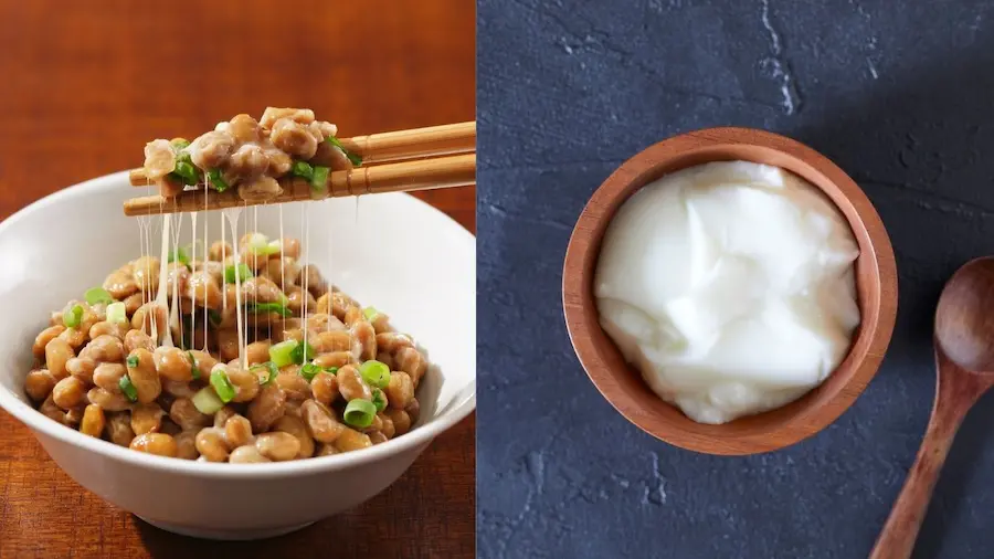 発酵食品の納豆とヨーグルトの画像