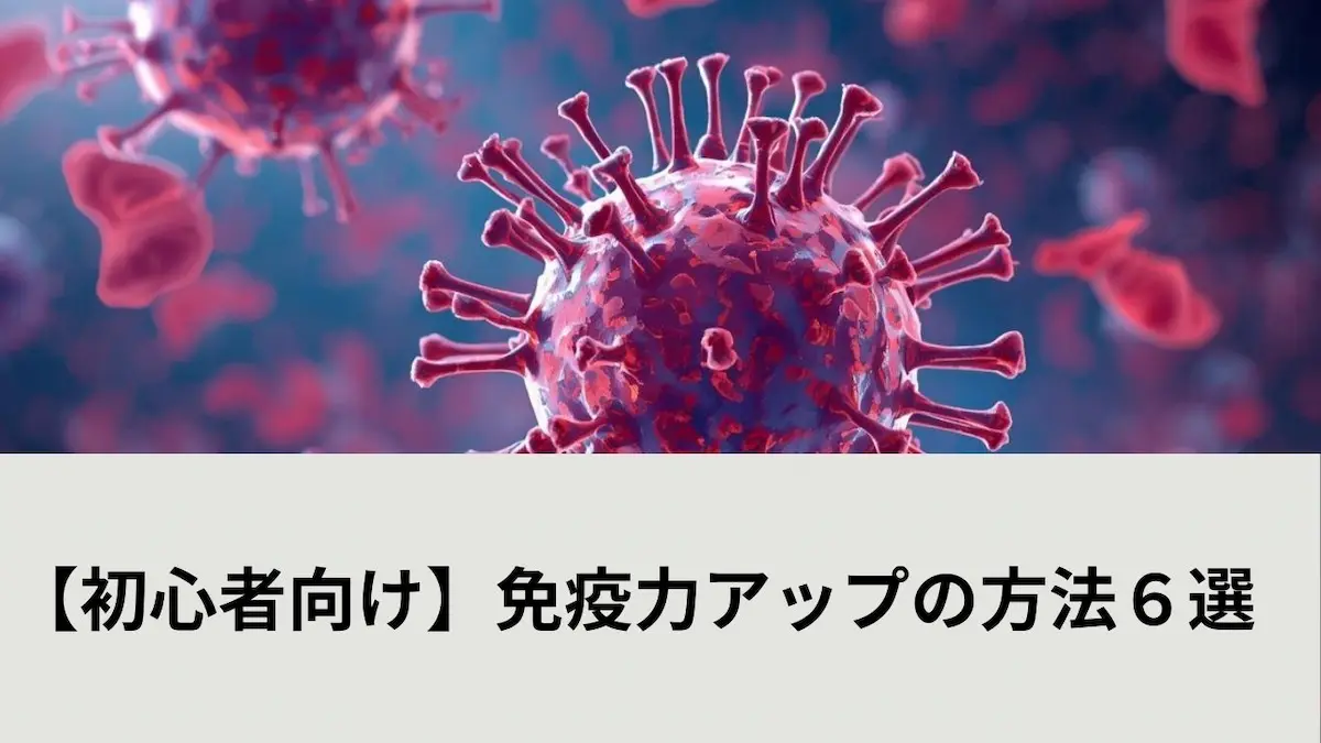 免疫力アップ記事アイキャッチ画像