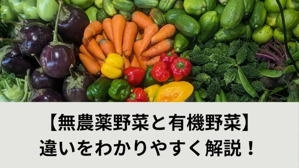 無農薬と有機野菜のちがい記事アイキャッチ画像