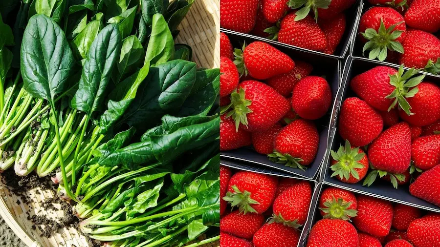 残留農薬の多いほうれん草といちごの画像
