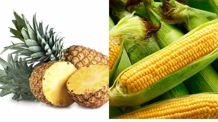残留農薬の少ない野菜・果物のパイナップルとスイートコーンの画像