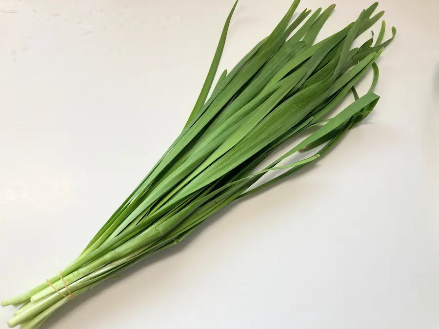 香り豊かな有機ニラ