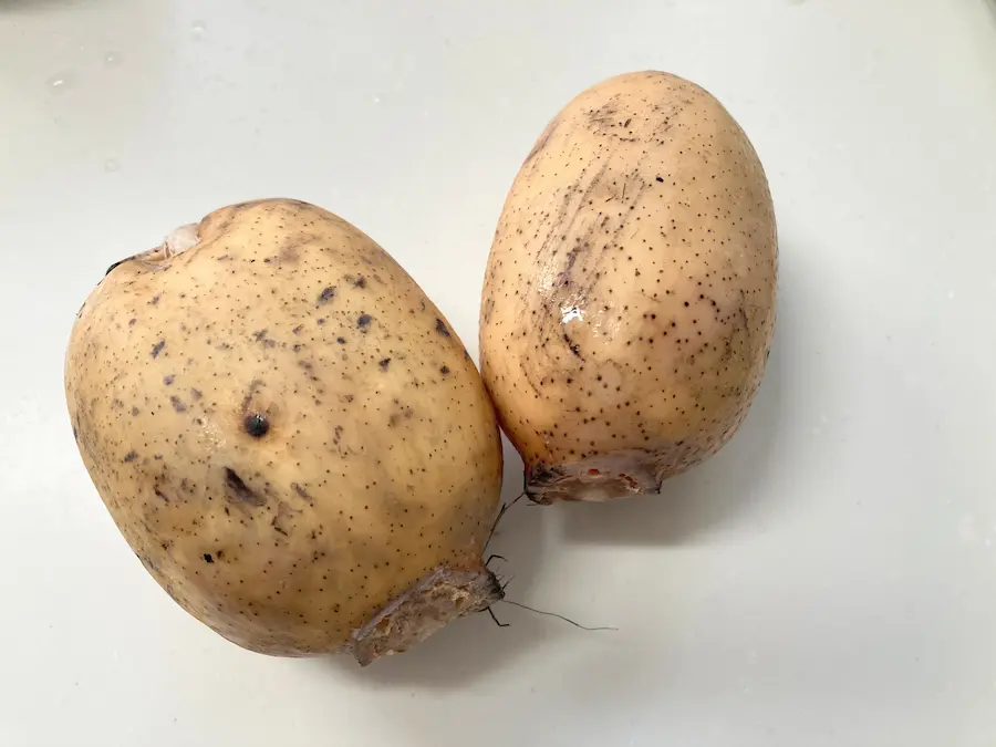 泥付きで鮮度抜群の有機れんこん