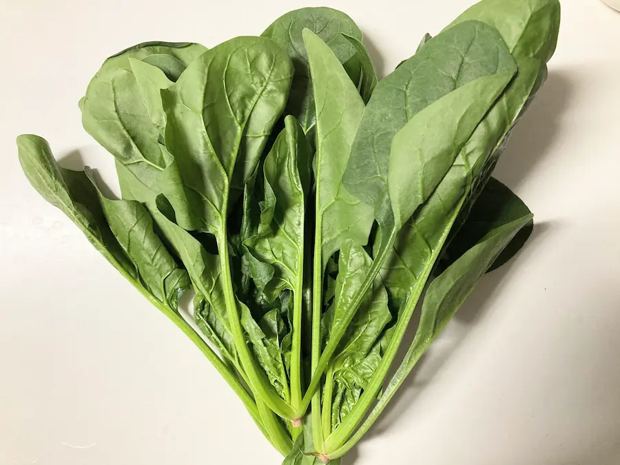 鮮やかな緑色の有機ほうれん草