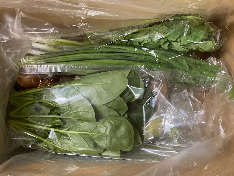 ビオ・マルシェの有機野菜お試しセット（旬の野菜8〜9品目）の全体画像