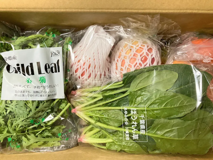 らでぃっしゅぼーやお試しセット全体画像