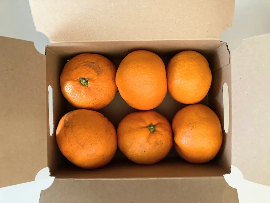 らでぃっしゅぼーやお試しセット　みかん