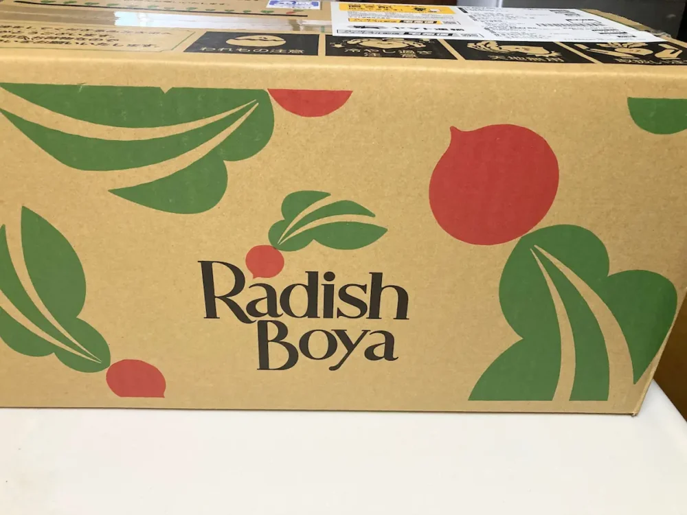 らでぃっしゅぼーやお試しセットの箱画像