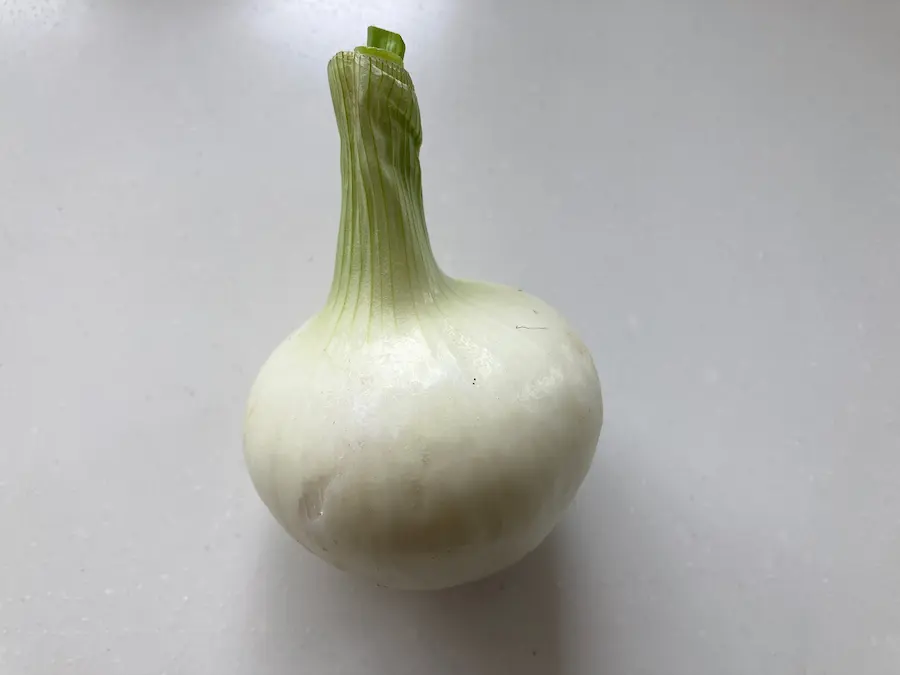 新玉ねぎ画像